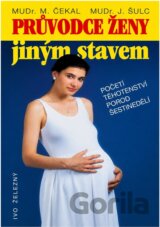 Průvodce ženy jiným stavem