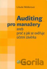 Auditing pro manažery