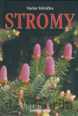 Stromy