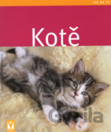 Kotě