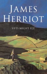 Vets Might Fly