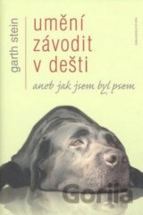 Umění závodit v dešti