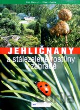 Jehličnany a stálezelené rostliny v zahradě