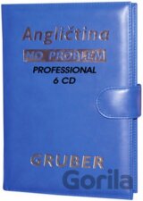 Angličtina No Problem - Professional