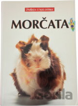 Morčata