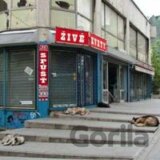ZIVE KVETY: SPUST