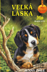 Veľká láska