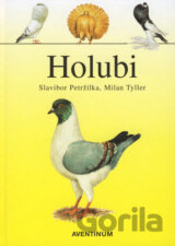 Holubi