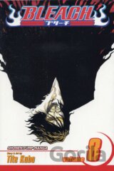 Bleach 8