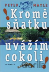 Kromě sňatku uvážím cokoli!