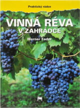 Vinná réva v zahrádce