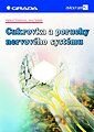 Cukrovka a poruchy nervového systému