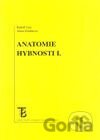 Anatomie hybnosti I.