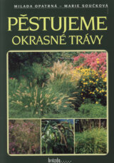 Pěstujeme okrasné trávy