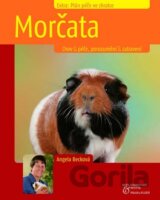 Morčata