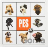 Pes - Metafora