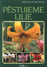 Pěstujeme lilie
