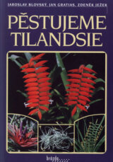 Pěstujeme tilandsie