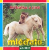 Hříbátka a jiná mláďata