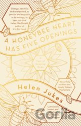 A Honeybee Heart Has Five Openings