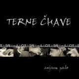 TERNE CHAVE: AVJAM PALE