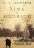 Zima v Madridu