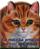 Čo mačička premilá po celý deň robila