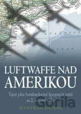 Luftwaffe nad Amerikou