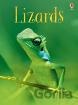 Lizards