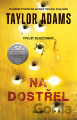 Na dostřel