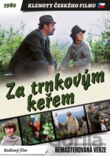 Za trnkovým keřem