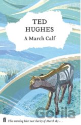 A March Calf