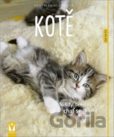 Kotě - Nikdy nekončící chuť se mazlit