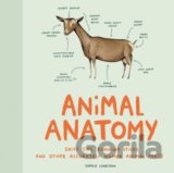 Animal Anatomy