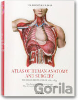 Atlas of Human Anatomy and Surgery