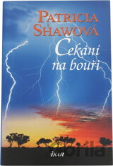 Čekání na bouři