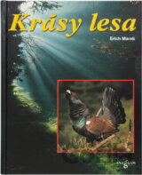 Krásy lesa