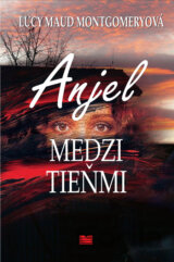 Anjel medzi tieňmi