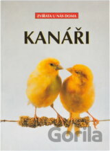 Kanáři