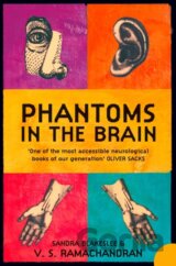 Phantoms in the Brain