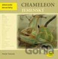 Chameleon jemenský
