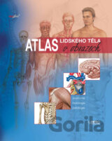 Atlas lidského těla v obrazech