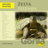 Želva zelenavá