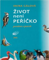 Život není peříčko - povídání o ptácích