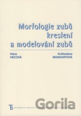 Morfologie zubů, kreslení a modelování zubů