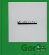 Miloš Cvach: Není to socha!