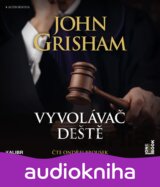 Vyvolávač deště (audiokniha)