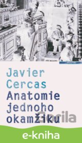 Anatomie jednoho okamžiku