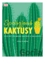 Spokojené kaktusy