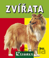 Zvířata
